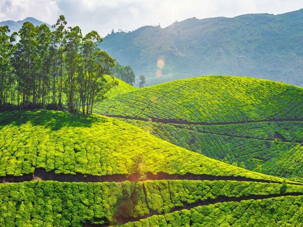 Best Ooty Tour Packages | Ooty Holiday Packages | Ooty Honeymoon Packages | Ooty Holiday Planner | Ooty Local Tour Packages | Ooty holiday planner | Best Ooty Travels | Best Ooty Travels Taxi Service | Taxi Services in Ooty | Best Tours and Travels in Ooty | Ooty cabs | Best Ooty tour packages | Ooty Best Taxi | Ooty Taxi Services | Ooty Travels | Travel Agency Near me | Travels in Ooty| Travel Agency in Ooty | Day Wise Tour Packages | Taxi Booking in Ooty | Cab Rentals in Ooty | Local Sightseeing Tours in Ooty | Sightseeing in Ooty | Travel Packages in Ooty | Ooty Car Rental | Taxi Booking in Ooty | Tour Packages in Ooty | Ooty Tour Packages |Honeymoon Packages in Ooty | Trip Planner Ooty | Best Travel Agency in Ooty | Ooty Travels Booking | Family Tour Packages | Adventure Tour Packages | Masinagudi Tour Packages | Jeep Safari | Budget Tour Packages in Ooty | Luxury Tour Packages | Holiday Packages in Ooty | Local Sightseeing Packages in Ooty | Tour Operators in Ooty | Travel Agents in Ooty | Ooty Tour Packages from Bangalore | Cab Rentals in Ooty | Cab Booking in Ooty | Local Sightseeing by Car in Ooty | Taxi Rentals in Ooty | Ooty Taxi Packages | Cheapest Cab Service in Ooty | Best Cab Service in Ooty | Ooty Sightseeing Cab Price | Ooty Local Sightseeing Packages by Car | Ooty Taxi Service | Taxi Service Ooty | Travels in Ooty | Room Booking in Ooty | Hotel Booking in Ooty | Outstation Trips | Ooty to Coimbatore Trips | Local Ooty Trips | Ooty to Bangalore taxi booking | Ooty airport taxi booking | Ooty local taxi booking | Ooty outstation taxi booking