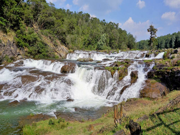 Best Ooty Tour Packages | Ooty Holiday Packages | Ooty Honeymoon Packages | Ooty Holiday Planner | Ooty Local Tour Packages | Ooty holiday planner | Best Ooty Travels | Best Ooty Travels Taxi Service | Taxi Services in Ooty | Best Tours and Travels in Ooty | Ooty cabs | Best Ooty tour packages | Ooty Best Taxi | Ooty Taxi Services | Ooty Travels | Travel Agency Near me | Travels in Ooty| Travel Agency in Ooty | Day Wise Tour Packages | Taxi Booking in Ooty | Cab Rentals in Ooty | Local Sightseeing Tours in Ooty | Sightseeing in Ooty | Travel Packages in Ooty | Ooty Car Rental | Taxi Booking in Ooty | Tour Packages in Ooty | Ooty Tour Packages |Honeymoon Packages in Ooty | Trip Planner Ooty | Best Travel Agency in Ooty | Ooty Travels Booking | Family Tour Packages | Adventure Tour Packages | Masinagudi Tour Packages | Jeep Safari | Budget Tour Packages in Ooty | Luxury Tour Packages | Holiday Packages in Ooty | Local Sightseeing Packages in Ooty | Tour Operators in Ooty | Travel Agents in Ooty | Ooty Tour Packages from Bangalore | Cab Rentals in Ooty | Cab Booking in Ooty | Local Sightseeing by Car in Ooty | Taxi Rentals in Ooty | Ooty Taxi Packages | Cheapest Cab Service in Ooty | Best Cab Service in Ooty | Ooty Sightseeing Cab Price | Ooty Local Sightseeing Packages by Car | Ooty Taxi Service | Taxi Service Ooty | Travels in Ooty | Room Booking in Ooty | Hotel Booking in Ooty | Outstation Trips | Ooty to Coimbatore Trips | Local Ooty Trips | Ooty to Bangalore taxi booking | Ooty airport taxi booking | Ooty local taxi booking | Ooty outstation taxi booking