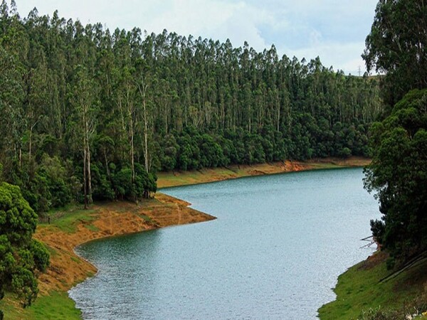 Best Ooty Tour Packages | Ooty Holiday Packages | Ooty Honeymoon Packages | Ooty Holiday Planner | Ooty Local Tour Packages | Ooty holiday planner | Best Ooty Travels | Best Ooty Travels Taxi Service | Taxi Services in Ooty | Best Tours and Travels in Ooty | Ooty cabs | Best Ooty tour packages | Ooty Best Taxi | Ooty Taxi Services | Ooty Travels | Travel Agency Near me | Travels in Ooty| Travel Agency in Ooty | Day Wise Tour Packages | Taxi Booking in Ooty | Cab Rentals in Ooty | Local Sightseeing Tours in Ooty | Sightseeing in Ooty | Travel Packages in Ooty | Ooty Car Rental | Taxi Booking in Ooty | Tour Packages in Ooty | Ooty Tour Packages |Honeymoon Packages in Ooty | Trip Planner Ooty | Best Travel Agency in Ooty | Ooty Travels Booking | Family Tour Packages | Adventure Tour Packages | Masinagudi Tour Packages | Jeep Safari | Budget Tour Packages in Ooty | Luxury Tour Packages | Holiday Packages in Ooty | Local Sightseeing Packages in Ooty | Tour Operators in Ooty | Travel Agents in Ooty | Ooty Tour Packages from Bangalore | Cab Rentals in Ooty | Cab Booking in Ooty | Local Sightseeing by Car in Ooty | Taxi Rentals in Ooty | Ooty Taxi Packages | Cheapest Cab Service in Ooty | Best Cab Service in Ooty | Ooty Sightseeing Cab Price | Ooty Local Sightseeing Packages by Car | Ooty Taxi Service | Taxi Service Ooty | Travels in Ooty | Room Booking in Ooty | Hotel Booking in Ooty | Outstation Trips | Ooty to Coimbatore Trips | Local Ooty Trips | Ooty to Bangalore taxi booking | Ooty airport taxi booking | Ooty local taxi booking | Ooty outstation taxi booking